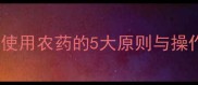 蘑菇病虫害防治全攻略科学使用农药的5大原则与操作指南附安全用药流程图