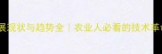 全球农药发展现状与趋势全农业人必看的技术革命与绿色转型