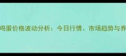 山东临朐鸡蛋价格波动分析今日行情市场趋势与养殖户建议