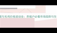 全国鸡蛋与毛鸡价格波动全养殖户必看市场趋势与生存指南