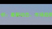 宿州玉米价格行情分析最新动态市场趋势及种植户应对策略