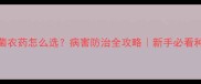 茼蒿杀菌农药怎么选病害防治全攻略新手必看种植指南