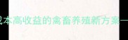 红薯饲料养殖技术低成本高收益的禽畜养殖新方案效益分析及操作指南