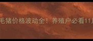 成都最新毛猪价格波动全养殖户必看11月市场趋势
