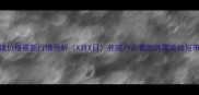 林州生猪价格最新行情分析X月X日养殖户必看的供需波动与市场预测