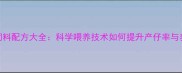 后备母猪饲料配方大全科学喂养技术如何提升产仔率与养殖效益