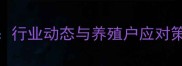 四川仔猪价格波动全行业动态与养殖户应对策略附最新报价表