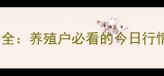 毛猪价格波动全养殖户必看的今日行情与市场趋势