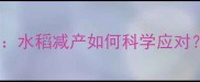 稻田除草剂误施补救指南水稻减产如何科学应对附误用案例与预防方案