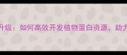 饲料蛋白产业技术升级如何高效开发植物蛋白资源助力农业可持续发展