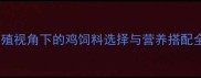 科学养殖视角下的鸡饲料选择与营养搭配全攻略