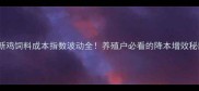 最新鸡饲料成本指数波动全养殖户必看的降本增效秘籍