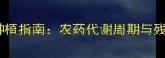 芹菜安全种植指南农药代谢周期与残留处理全
