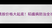 山东京博稻瘟酰胺价格大起底稻瘟病防治全攻略农民必看