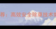 三氟羧除草剂厂家推荐高效安全除草技术如何助力现代农业