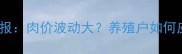 最新辽宁台安生猪价格周报肉价波动大养殖户如何应对附5月市场趋势解读