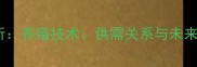 桂花鱼价格走势及市场分析养殖技术供需关系与未来预测附养殖成本明细