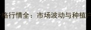中国辣椒价格行情全市场波动与种植户应对策略