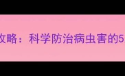 可杀得农药使用全攻略科学防治病虫害的5大技巧与注意事项