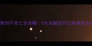 麦苗除草剂不死亡全攻略5大关键技巧让除草更安全高效