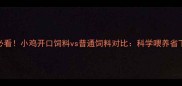 养殖户必看小鸡开口饲料vs普通饲料对比科学喂养省下30成本