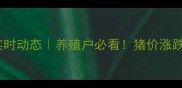博白县9月生猪价格实时动态养殖户必看猪价涨跌背后隐藏的5大真相