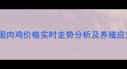 月日全国肉鸡价格实时走势分析及养殖应对策略
