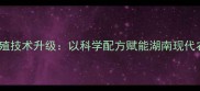 长沙正邦饲料养殖技术升级以科学配方赋能湖南现代农业高质量发展
