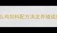 为什么鸡饲料配方决定养殖成败