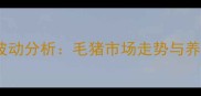 成都生猪价格波动分析毛猪市场走势与养殖户应对策略