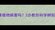 农药使用真的算植物病害吗3步教你科学辨别与处理