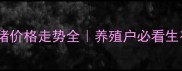 大连毛猪价格走势全养殖户必看生存指南