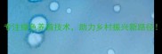 莒南君诺饲料专注绿色养殖技术助力乡村振兴新路径养殖户必看