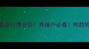 9月河北豆粕价格最新行情分析养殖户必看附趋势预测与采购建议