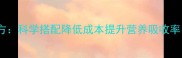 最新猪饲料青饲料配方科学搭配降低成本提升营养吸收率附详细配比方案