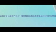 农药分子比植物气孔小植物吸收农药的微观机制与科学防治策略