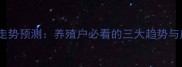 猪肉价格走势预测养殖户必看的三大趋势与应对策略