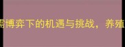 生猪价格走势预测供需博弈下的机遇与挑战养殖户必看的三大趋势分析