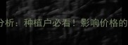 花生米价格波动分析种植户必看影响价格的因素与未来趋势