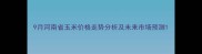9月河南省玉米价格走势分析及未来市场预测