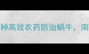 最新农技指南5种高效农药防治蜗牛南方地区推荐方案