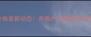 7月9号全国猪肉价格最新动态养殖户必看波动分析及未来趋势预测