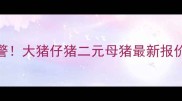 全国生猪价格波动预警大猪仔猪二元母猪最新报价附9月趋势分析