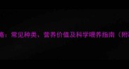 青饲料全攻略常见种类营养价值及科学喂养指南附种植技巧