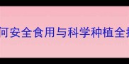 香蕉农药残留真相大如何安全食用与科学种植全指南附权威检测数据