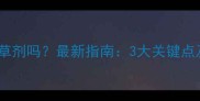 玉米花期能打除草剂吗最新指南3大关键点及科学用药方案