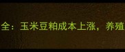 饲料价格波动全玉米豆粕成本上涨养殖户如何应对