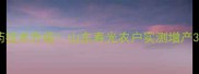 丙生新农药技术升级山东寿光农户实测增产30的秘诀