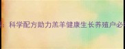 江苏教槽饲料科学配方助力羔羊健康生长养殖户必看的营养方案