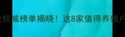沈阳饲料企业权威榜单揭晓这8家值得养殖户重点关注